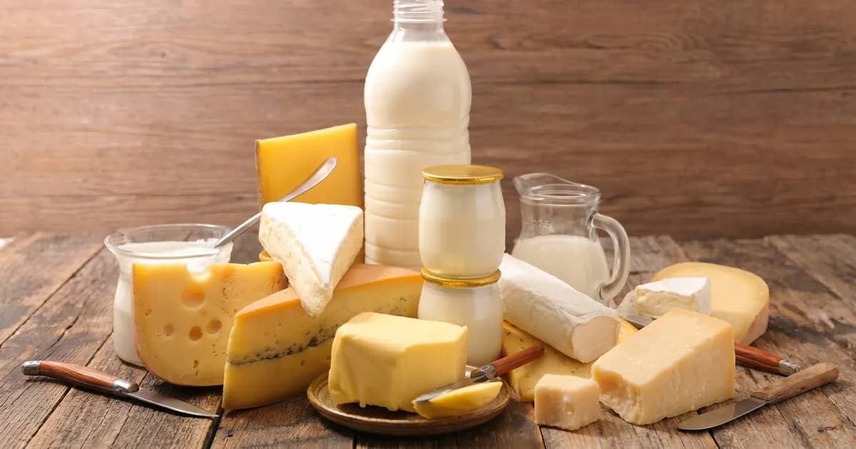 Exportaciones lácteas en Argentina: desafíos de calidad y capacidad de procesamiento