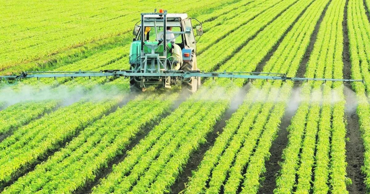 El Poder del Agro en Argentina: Fertilizantes y Desafíos Económicos