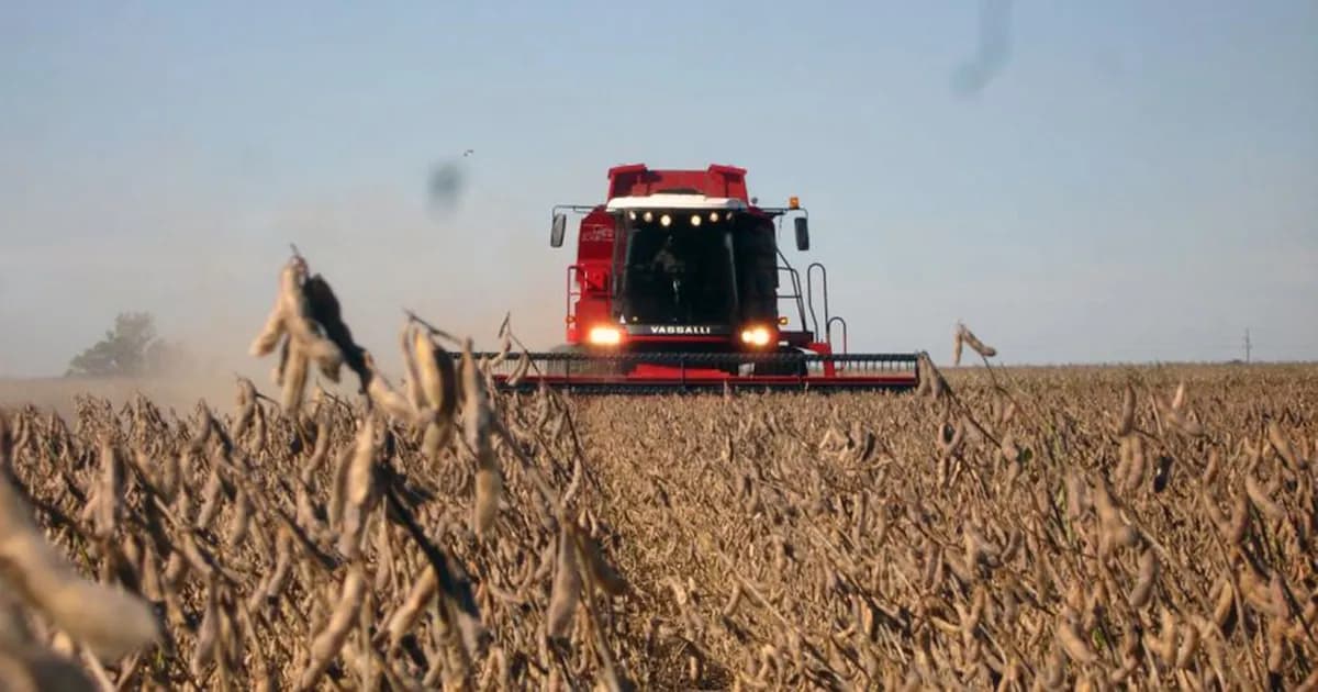 Proyecciones optimistas para la liquidación de divisas del agro en 2026: superarán los USD 36 mil millones