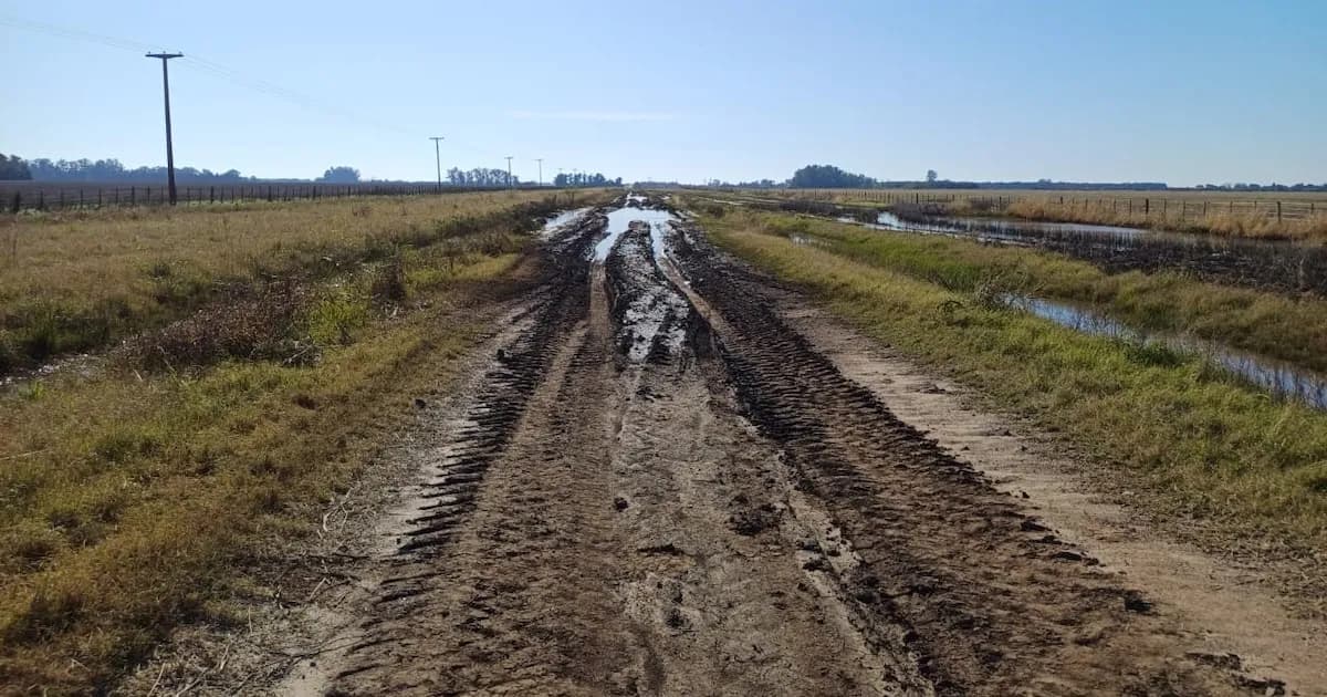 Productores de Baradero inician acción legal por desvío de $1.500 millones de la tasa vial