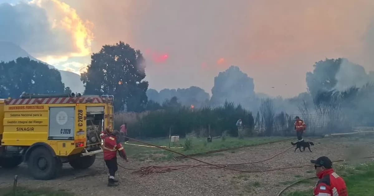 Nuevos incendios intencionales afectan el Parque Nacional Los Alerces en Chubut