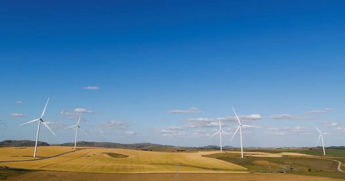 La Reprórroga de Estabilidad Tributaria Impulsa las Energías Renovables en Argentina