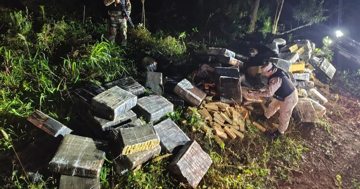 Impresionante operativo en Misiones: más de tres toneladas de marihuana incautadas en el Paraná