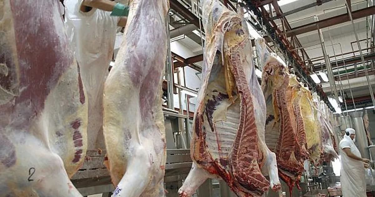 Apertura de Inscripciones para la Cuota Hilton 2026-2027: Oportunidad para Exportadores de Carne