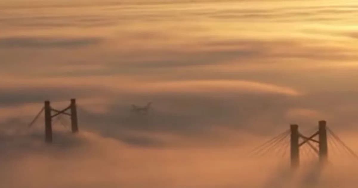 Alerta por niebla en el AMBA: Impacto en rutas y condiciones climáticas de la semana