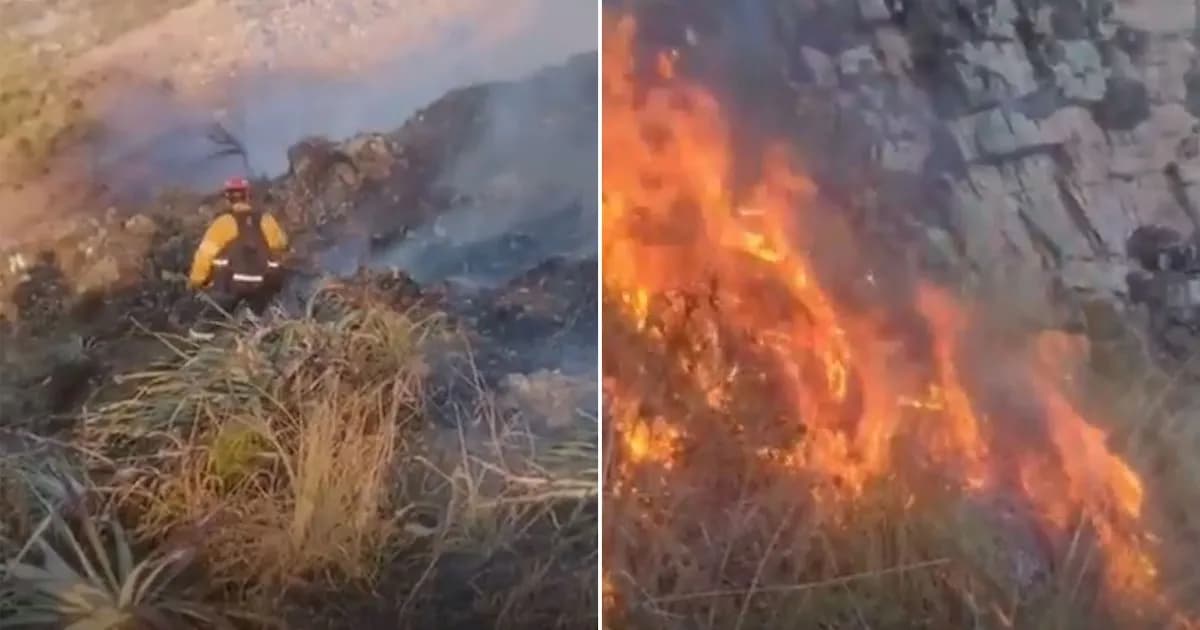 Incendio en Jujuy: vecinos intentaron ahuyentar a un puma y desataron un desastre natural
