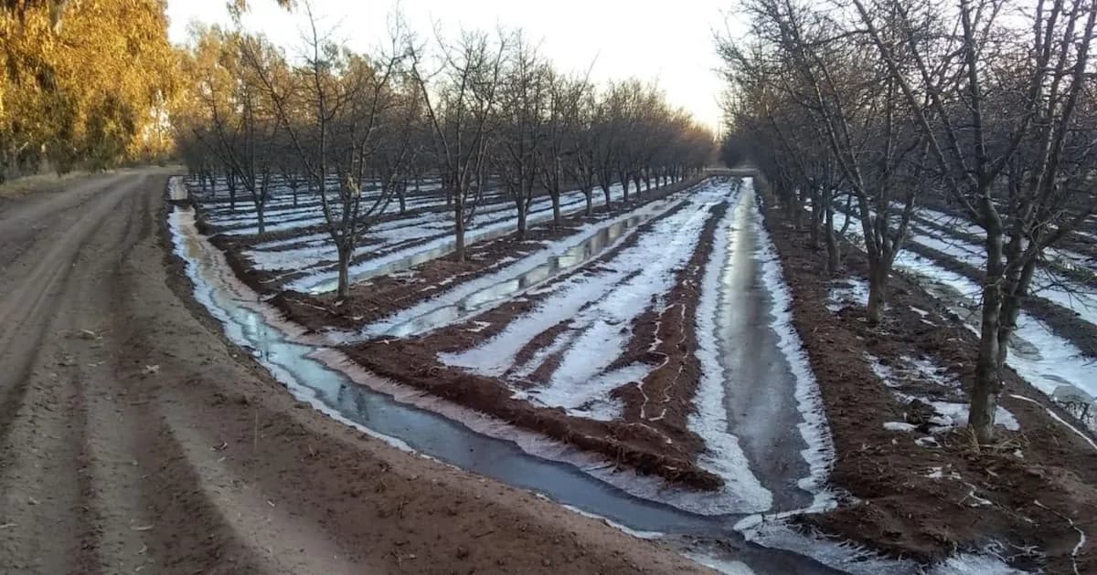 El Gobierno Nacional Declara Emergencia Agropecuaria en Chubut, Santa Cruz y Mendoza