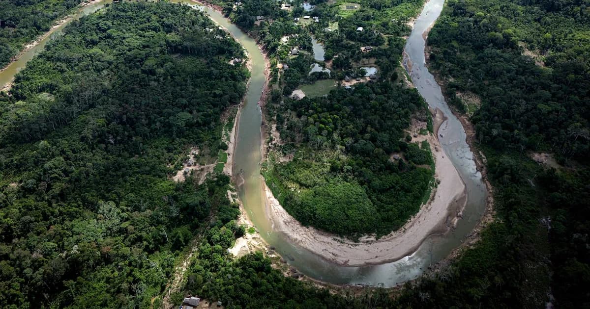 Lula impulsa la pavimentación de la Amazonia en medio de su campaña electoral