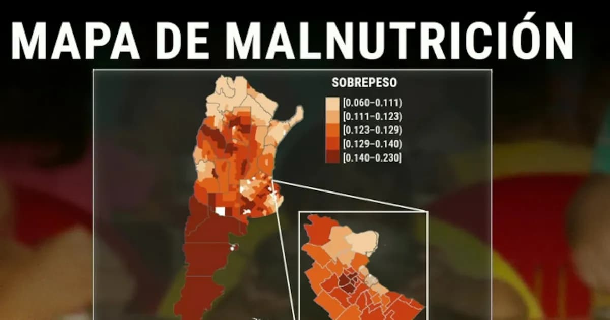 Malnutrición infantil en Argentina: el primer mapa que revela la coexistencia de obesidad y déficit