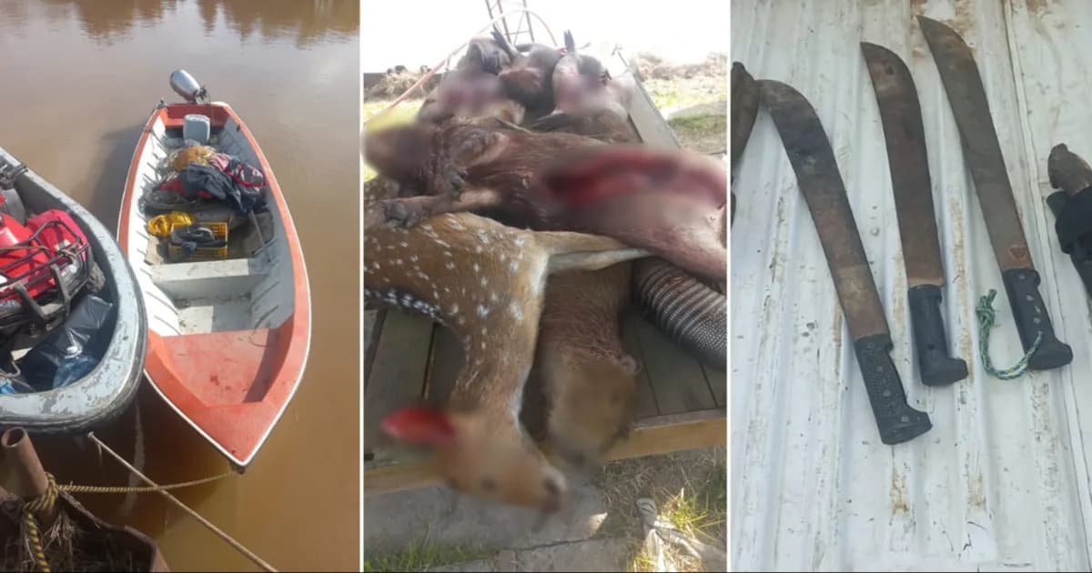 Desmantelan campamento de caza ilegal en el Delta de Zárate: cinco detenidos y fauna afectada