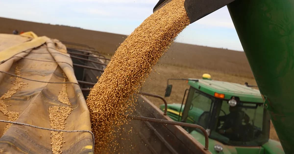 Crisis en Huergo Cereales: deudas y cheques impagos preocupan al sector agropecuario