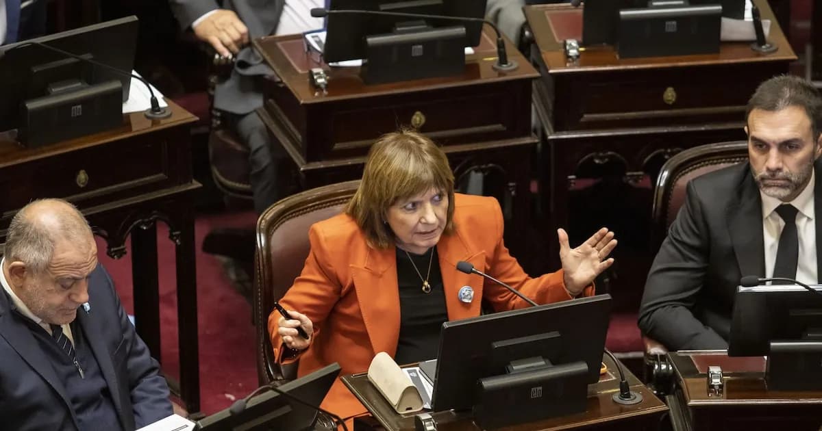 Bullrich y las tensiones en el Senado: la ley que divide y la estrategia en juego