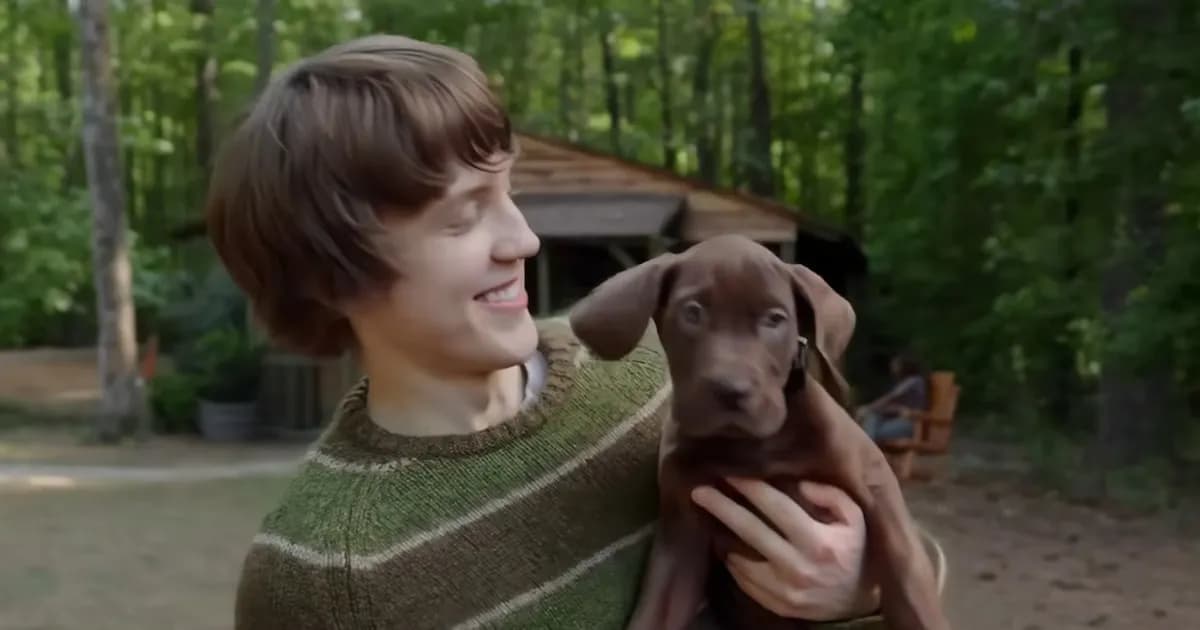Descubrí 'Scooby-Doo: El Origen': Un nuevo capítulo para la emblemática franquicia