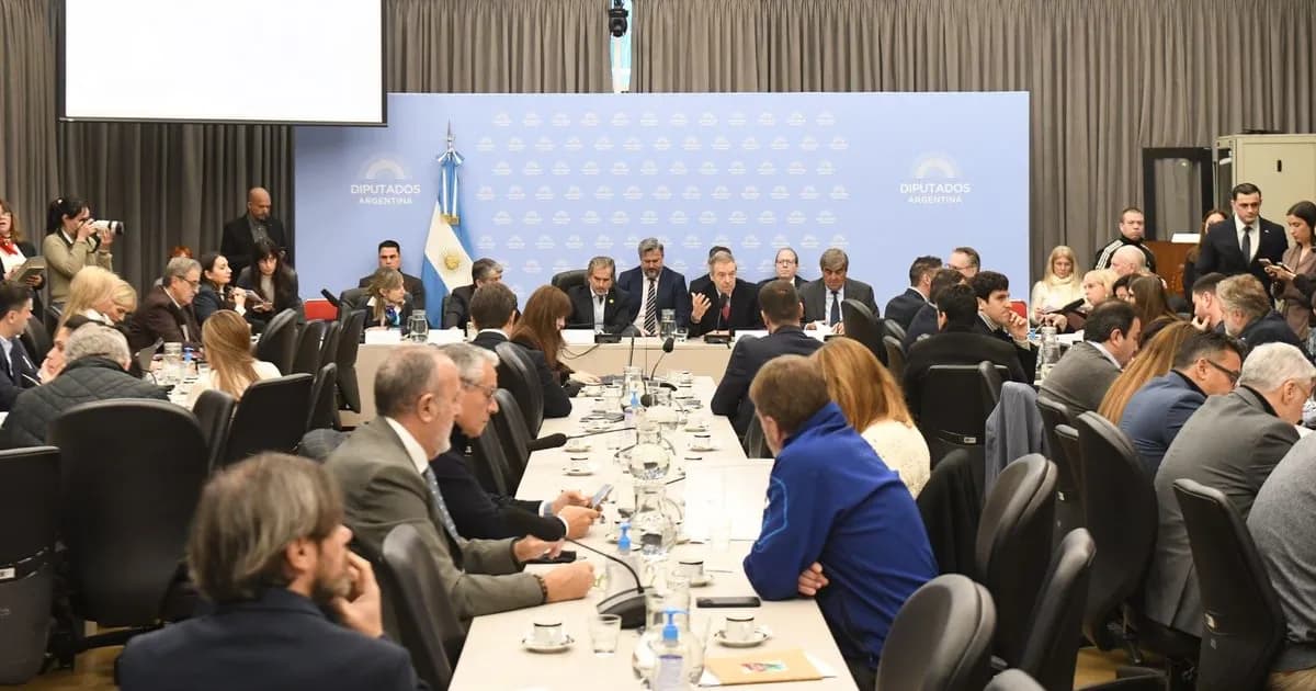 El Gobierno busca respaldo para el Súper RIGI en Diputados, pero genera dudas en el sector energético