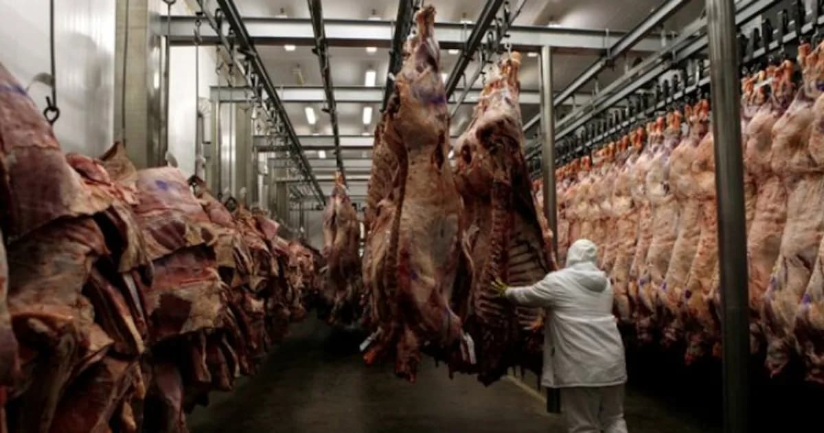 La faena de ganado muestra leves avances, pero se aleja de los niveles de 2025
