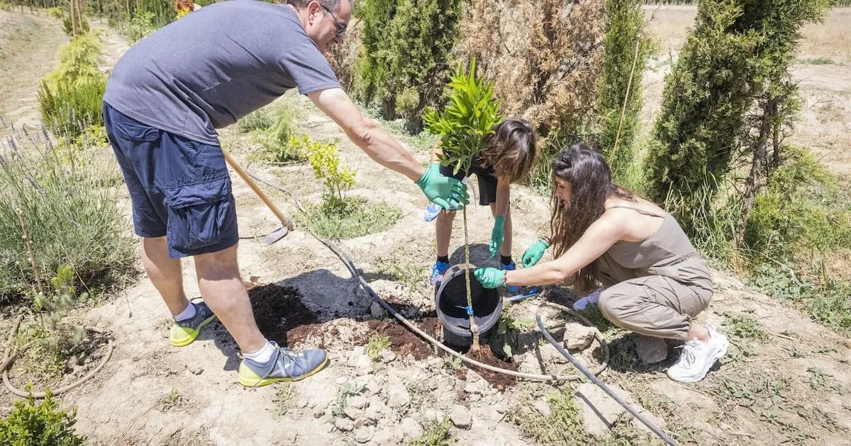 Concurso 'R7 por el Planeta': Tres Colegios Españoles Destacan en Iniciativas Ecológicas