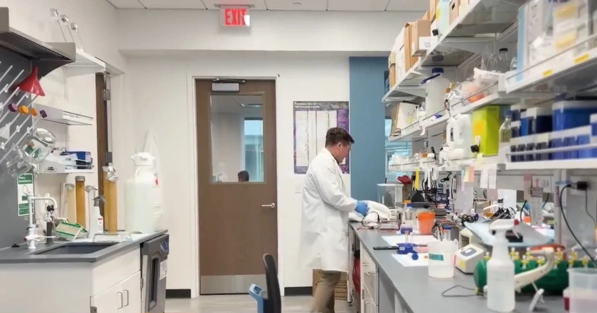 Avances en terapia dirigida para la leucemia infantil desde la Universidad de Emory