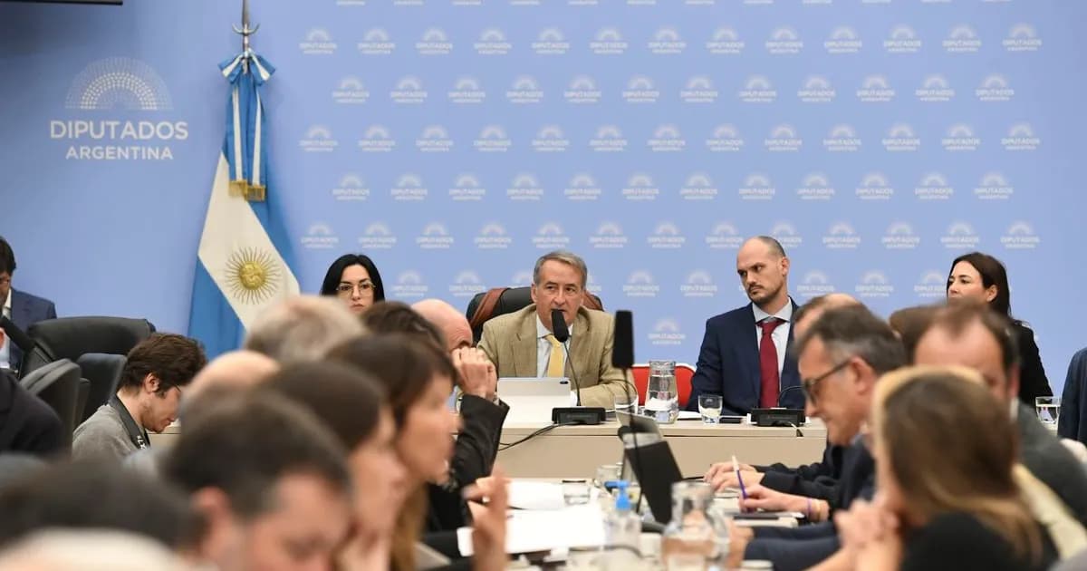Organizaciones civiles expresan preocupación por el proyecto de ley de Lobby en el Congreso
