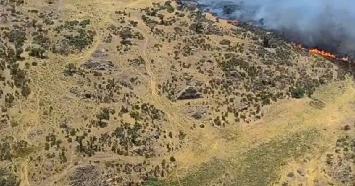 Intensa lucha contra el fuego: Cuatro aeronaves combaten incendio en Plasencia