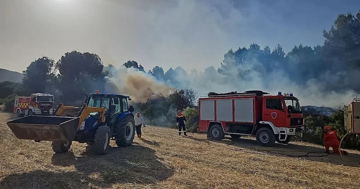 Éxito en la Extinción de un Conato de Incendio Forestal en Murcia