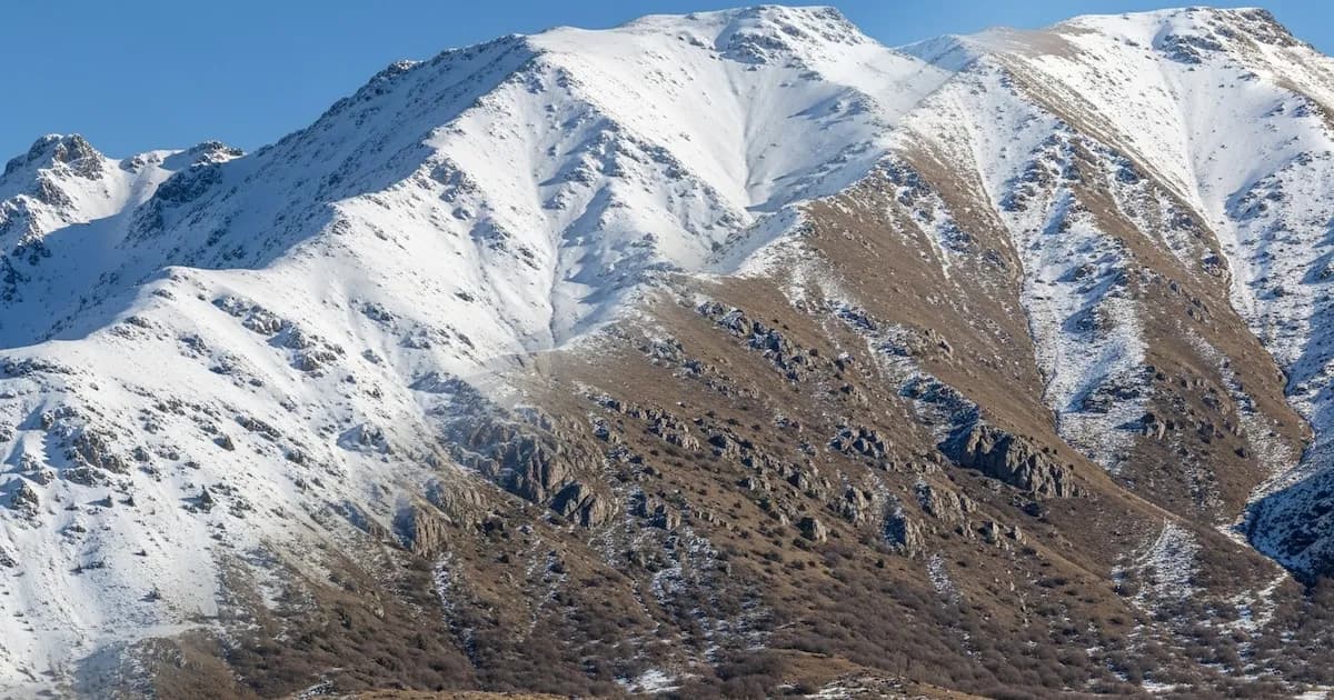 Nuevas investigaciones revelan el sorprendente potencial de los suelos montañosos para almacenar carbono