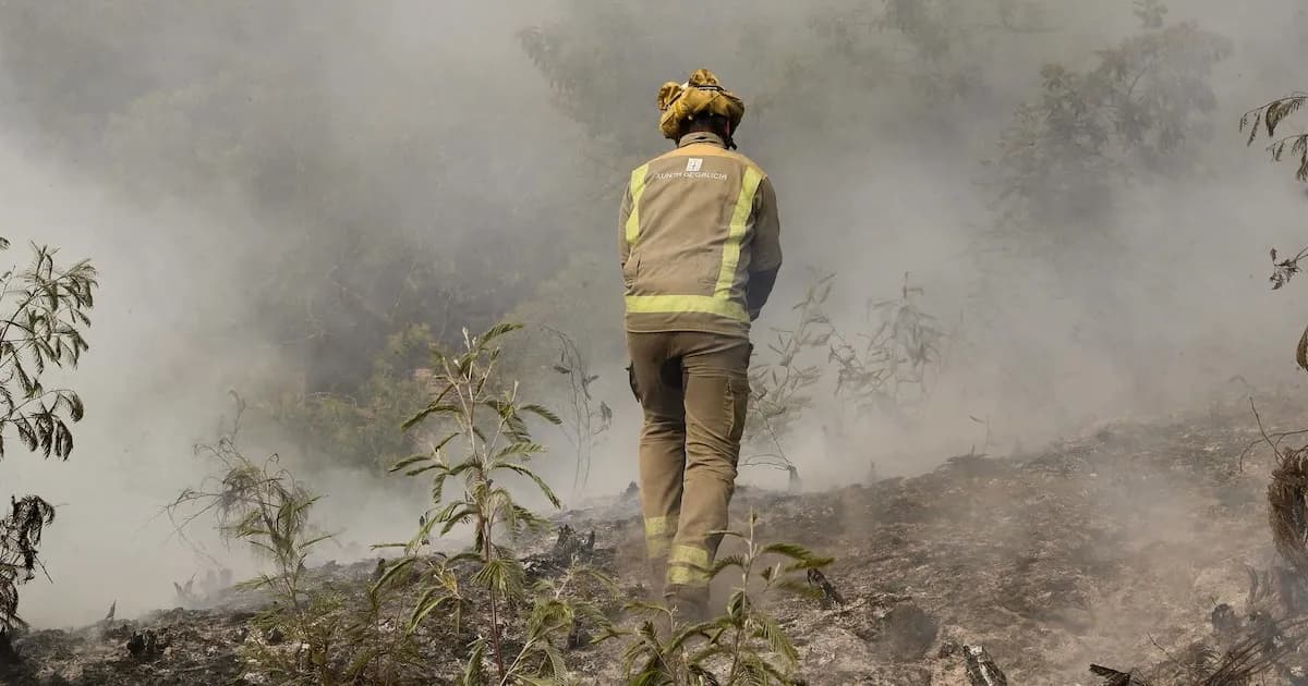 Incendio Forestal Devasta Más de 20 Hectáreas en Boborás, Ourense