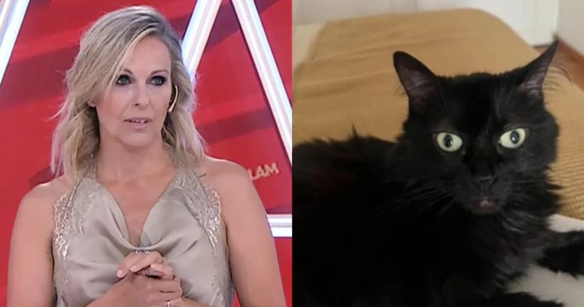 Denise Dumas en alerta por la desaparición de su gata Mina en Colegiales