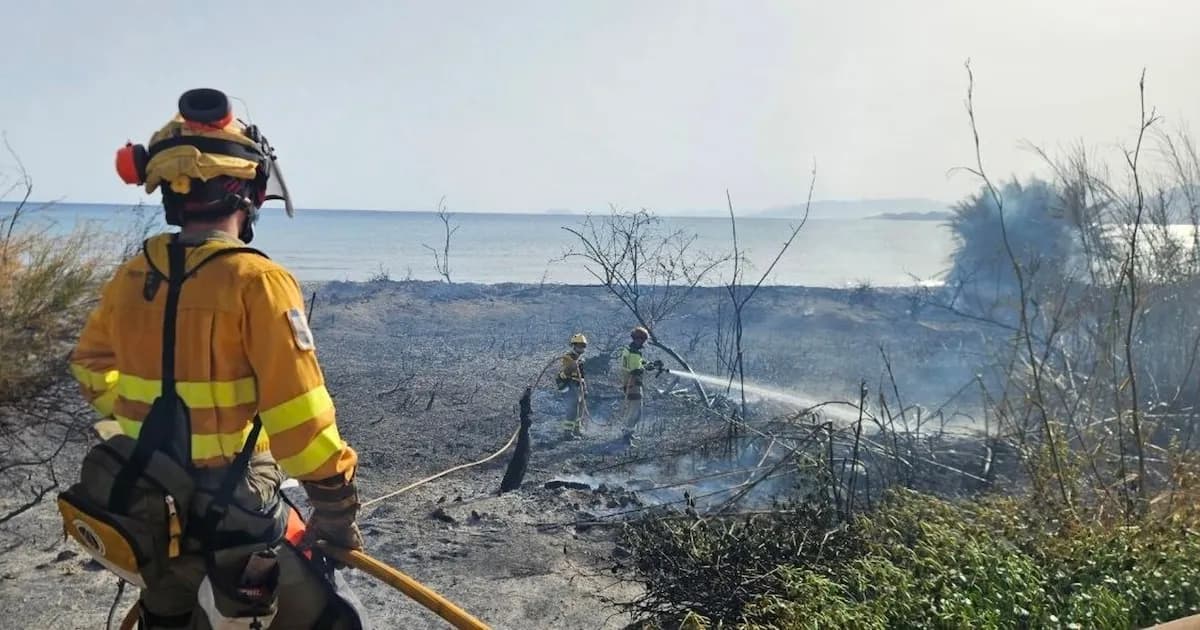 Incendios en la Región de Murcia: Controlados y extinguidos varios siniestros