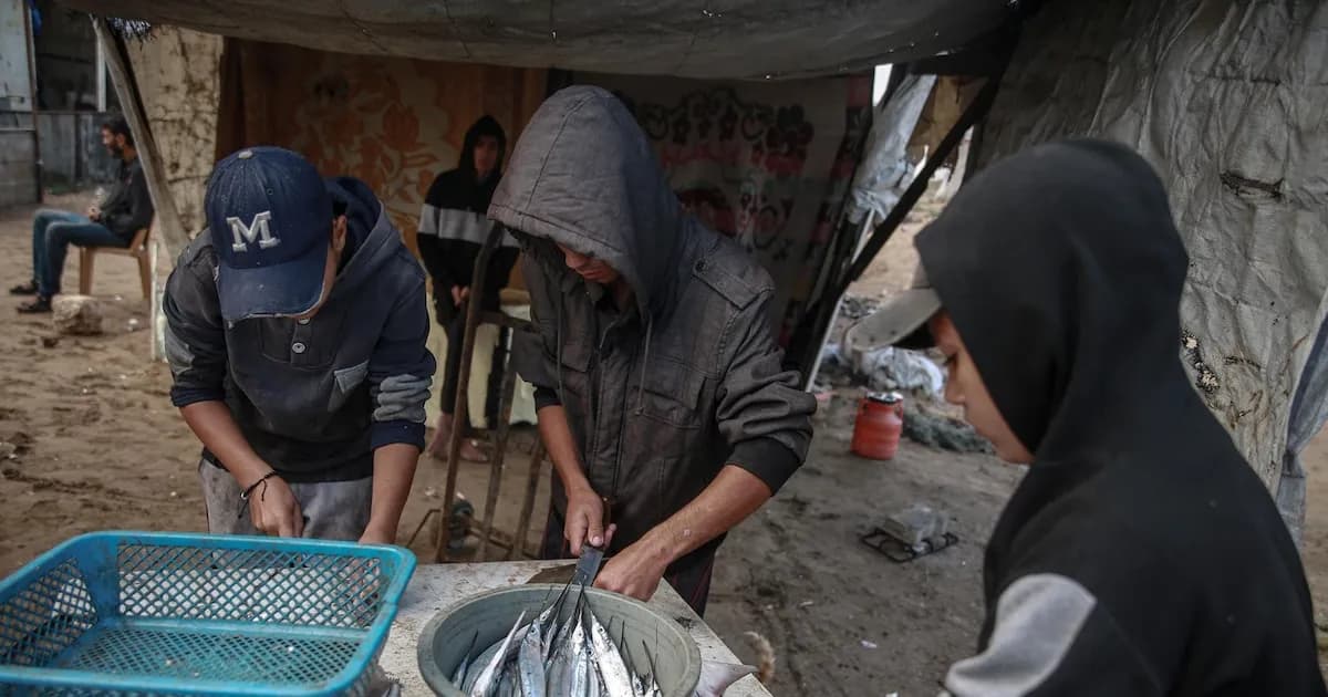 La ONU advierte sobre el hambre en Palestina, Sudán y Yemen: Urge a la acción internacional