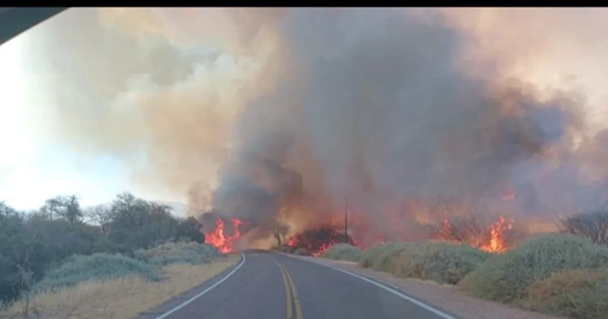 Incendio en Cafayate arrasa más de 200 hectáreas de vegetación nativa