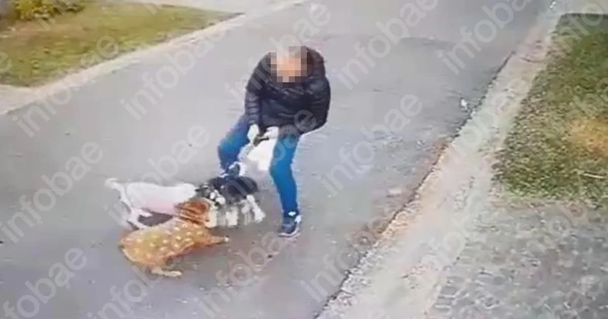 La Justicia incrementa indemnización por ataque de perros en barrio privado de Escobar