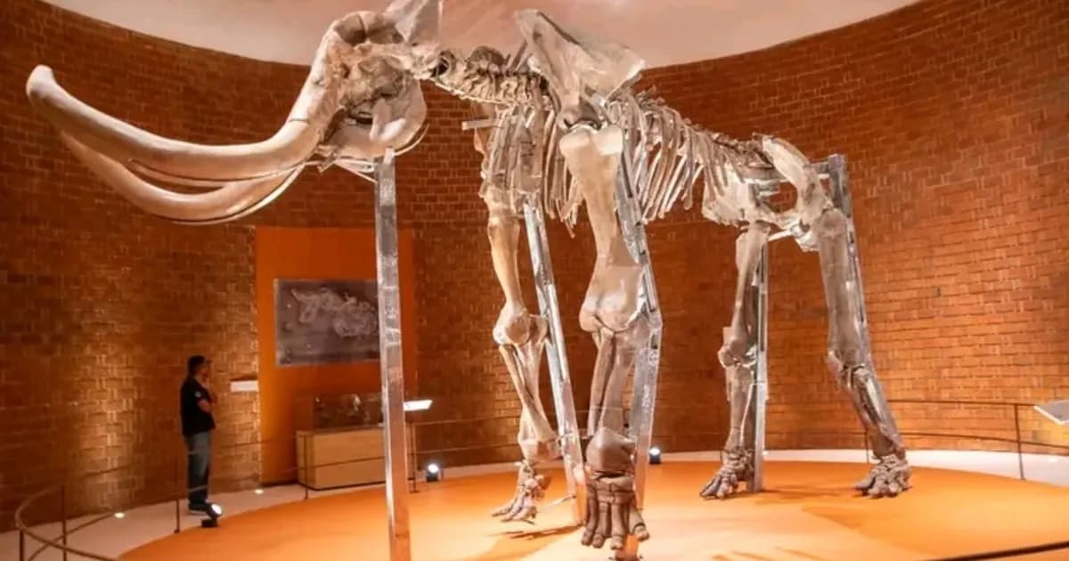 Inauguran el Museo del Mamut en Tultepec, un nuevo espacio para la paleontología