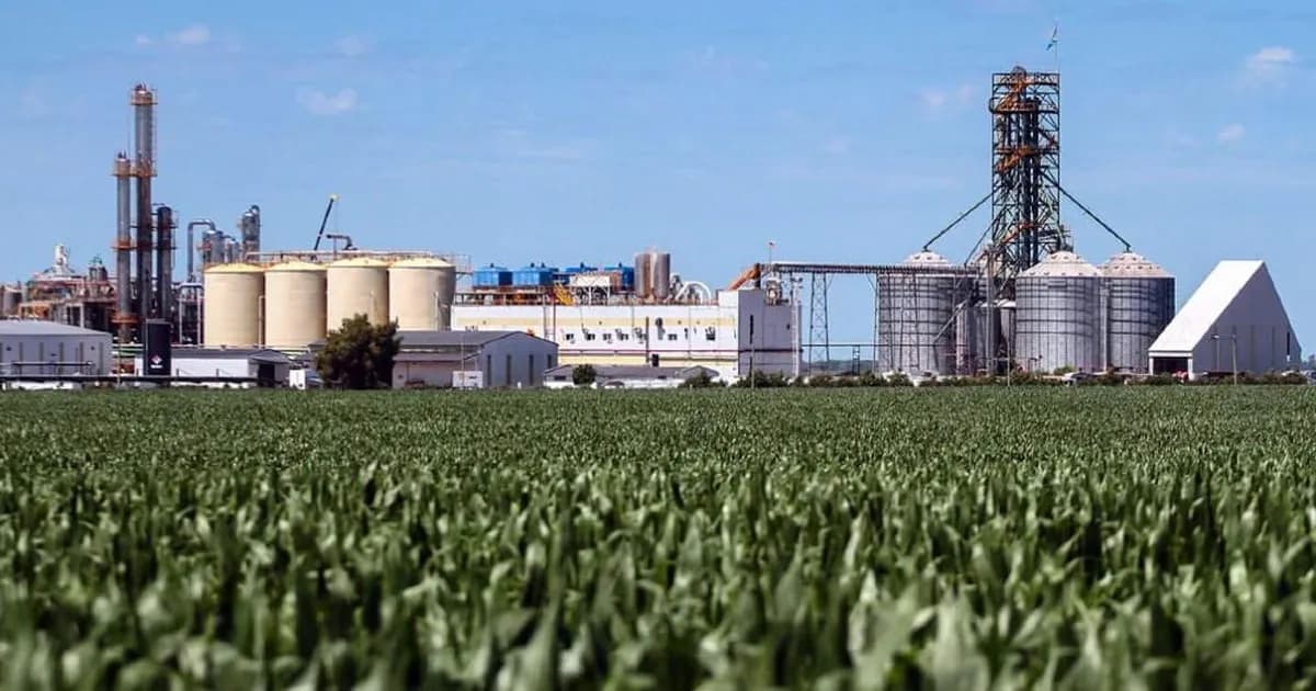 Provincias preocupadas por la reforma de biocombustibles y el futuro de las pymes