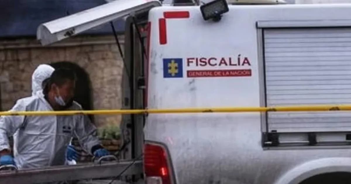 Trágico accidente: mujer embarazada fallece al ser atropellada mientras paseaba a su perro