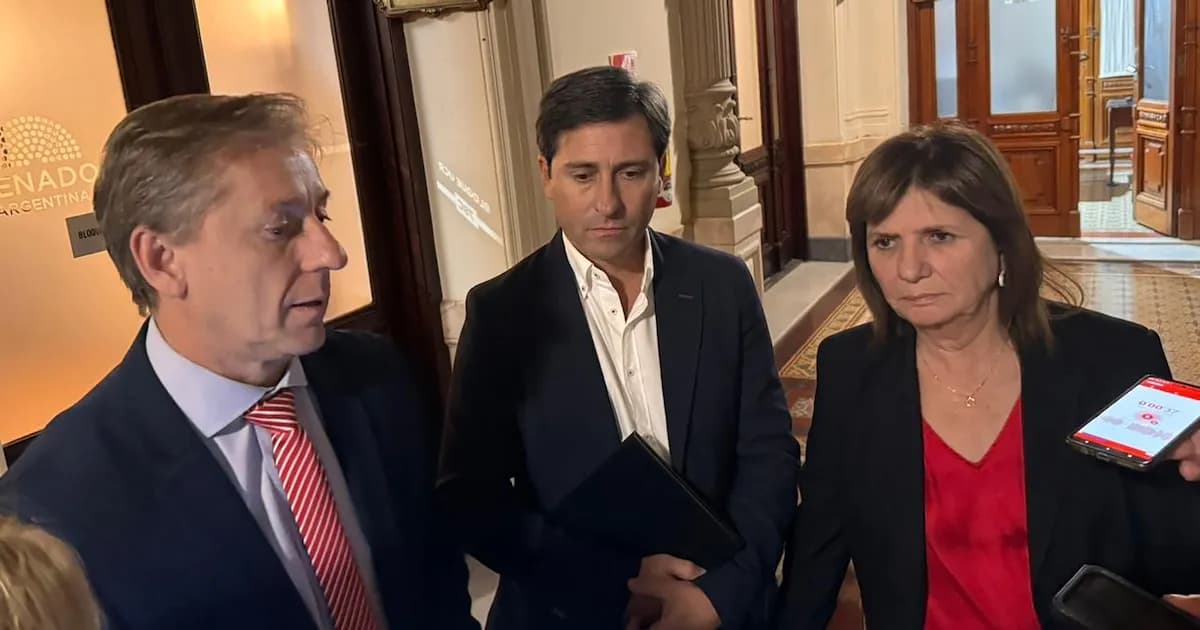El Senado busca aprobar la ley de propiedad privada en sesión del 8 de julio
