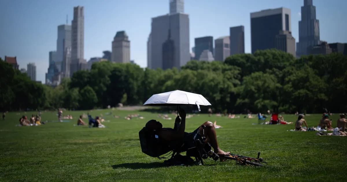 Ola de calor en Nueva York: Central Park podría romper récord de 1966