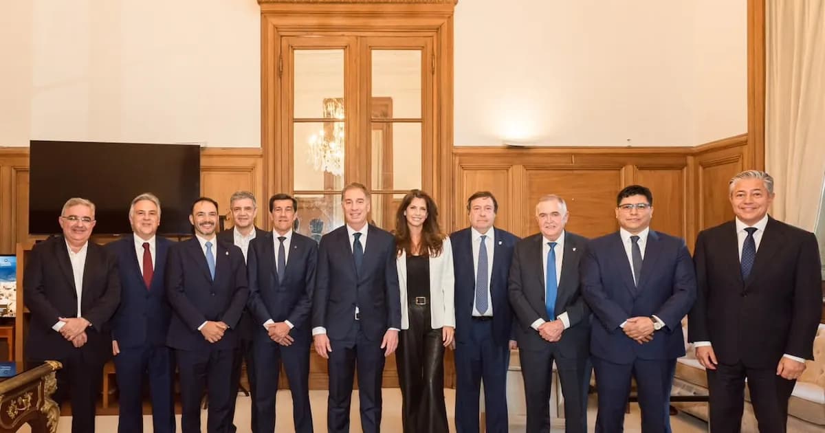 El Gobierno busca suspender las PASO mediante negociaciones con gobernadores
