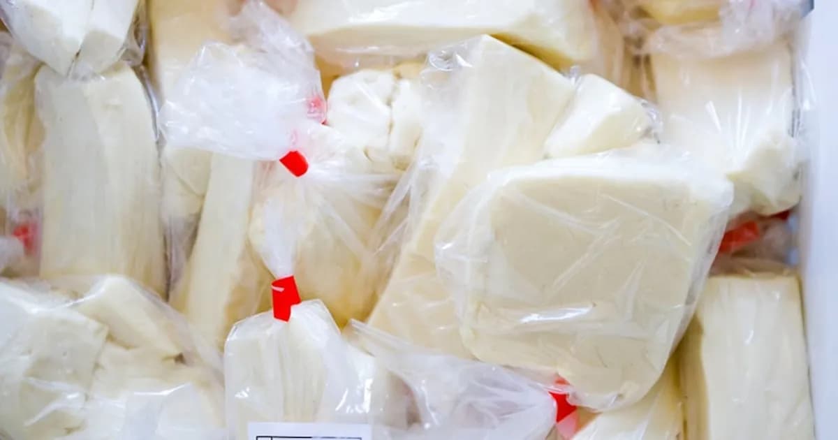 El Salvador: Quesillo lidera las importaciones electrónicas en enero de 2026