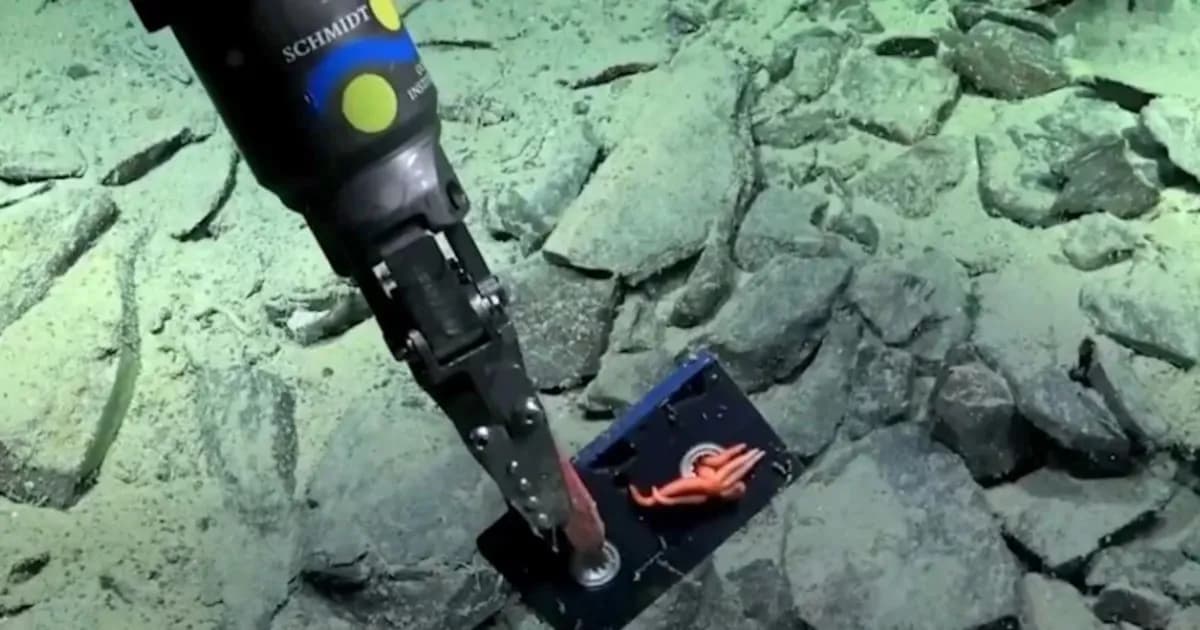 Un robot submarino descubre basura a 3.000 metros en el Mar Argentino