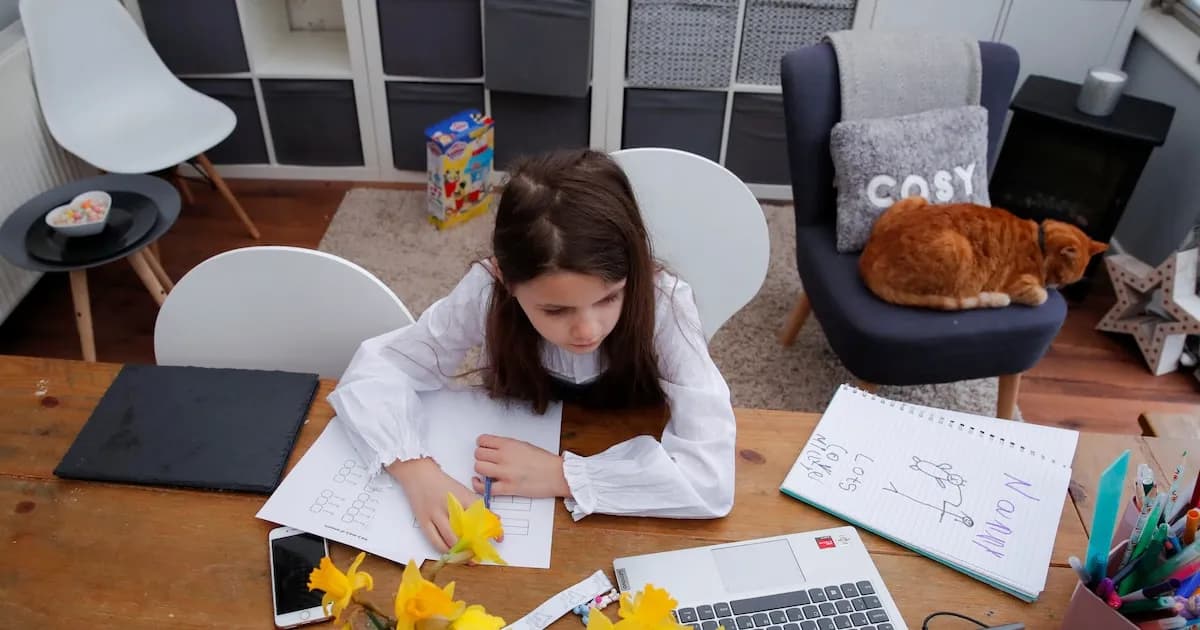 La polémica del homeschooling: el debate sobre la educación pública y la libertad familiar