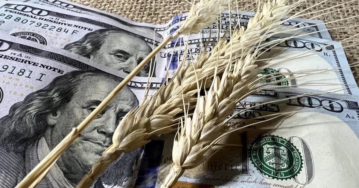 ¿Cuánto puede aportar el agro a las reservas de divisas en el segundo semestre?