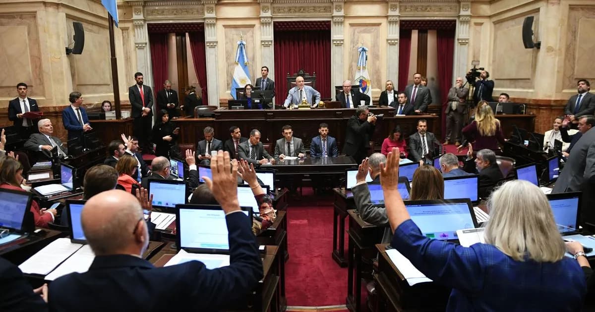 El Senado en un impasse: Mundial, feriados y presiones gubernamentales