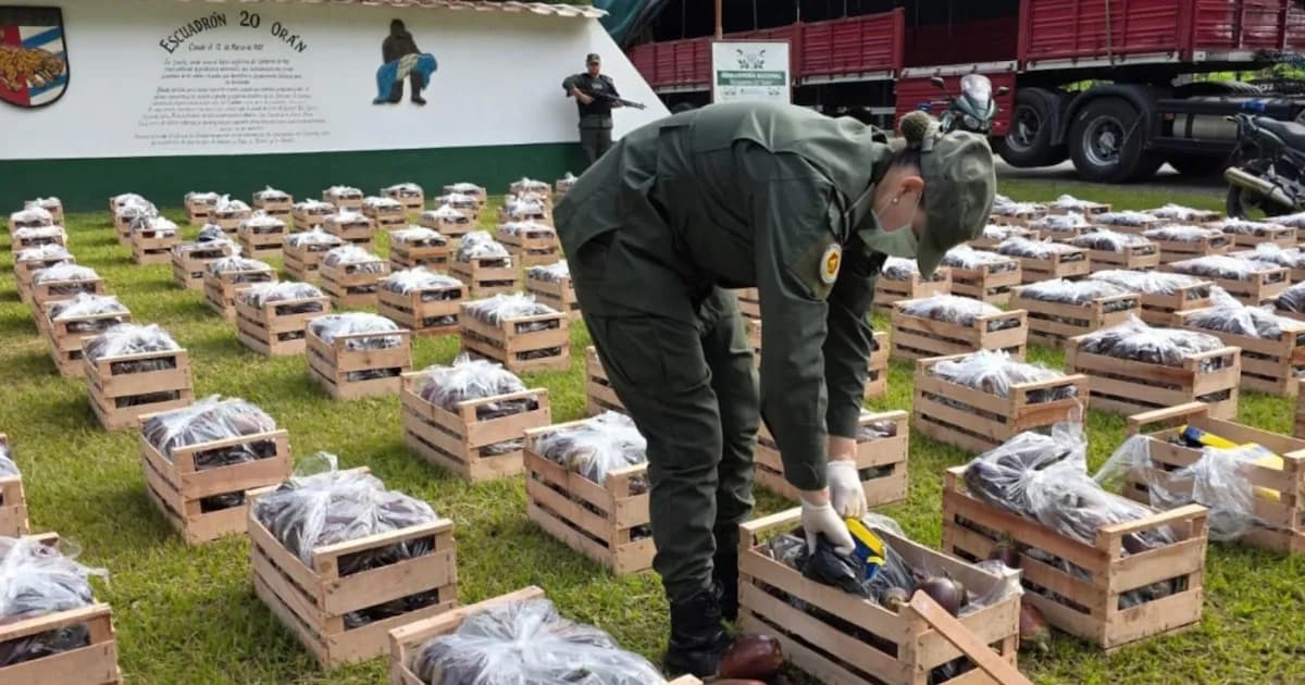 Incremento del 500% en incautaciones de cocaína en Argentina: un problema creciente