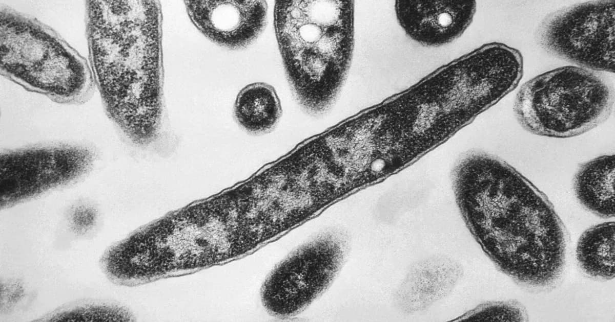 Alerta sanitaria: brote de legionelosis en Nueva York preocupa a expertos