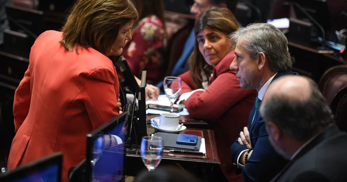Patricia Bullrich se prepara para relanzar la actividad en el Senado y afrontar la reforma política