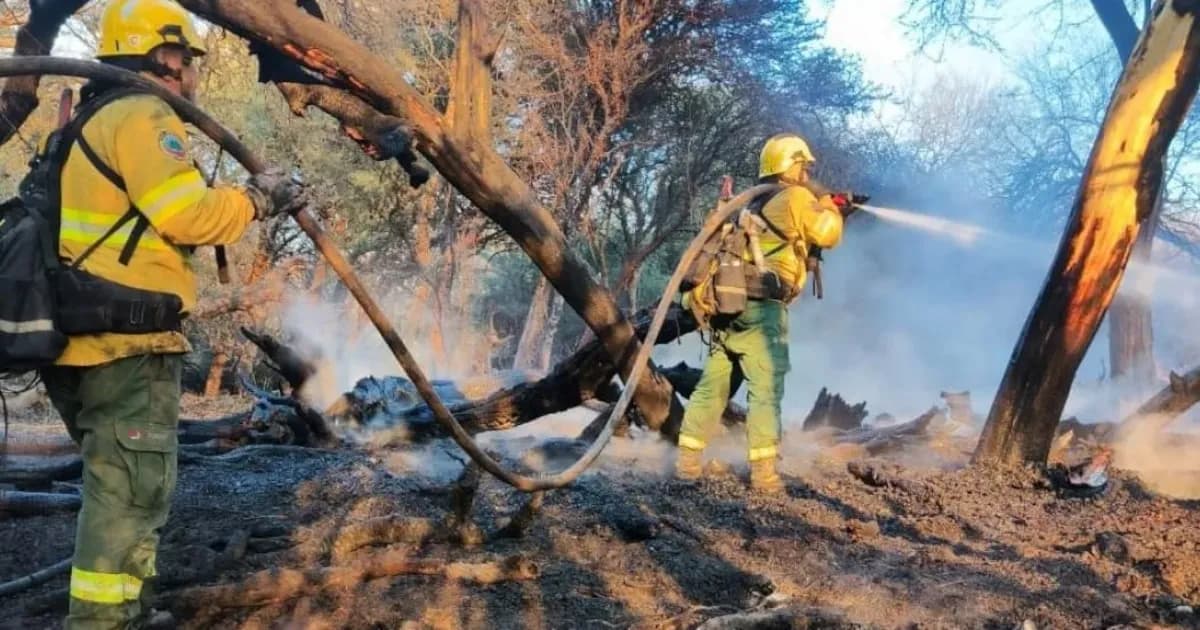 Imputan a un hombre por incendios forestales en Cafayate que devastaron 200 hectáreas