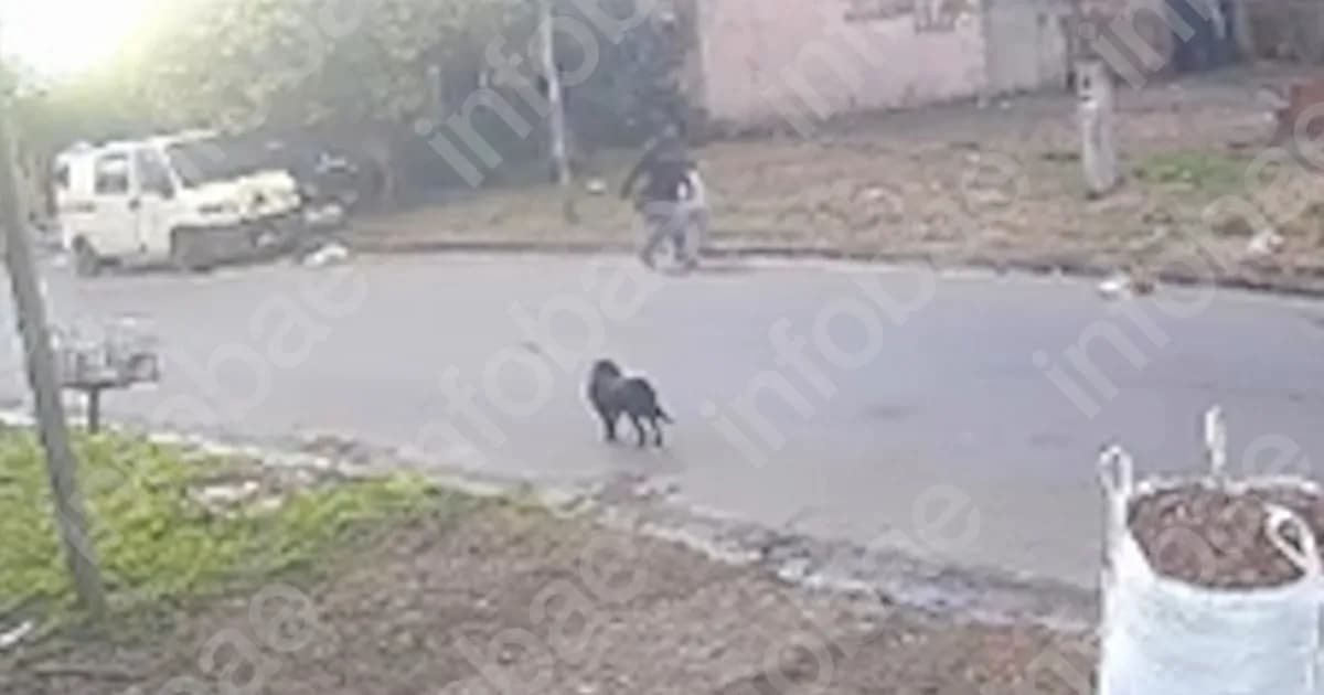 Femicida de Junín: detalles de la fuga y captura del sospechoso que raptó a una niña