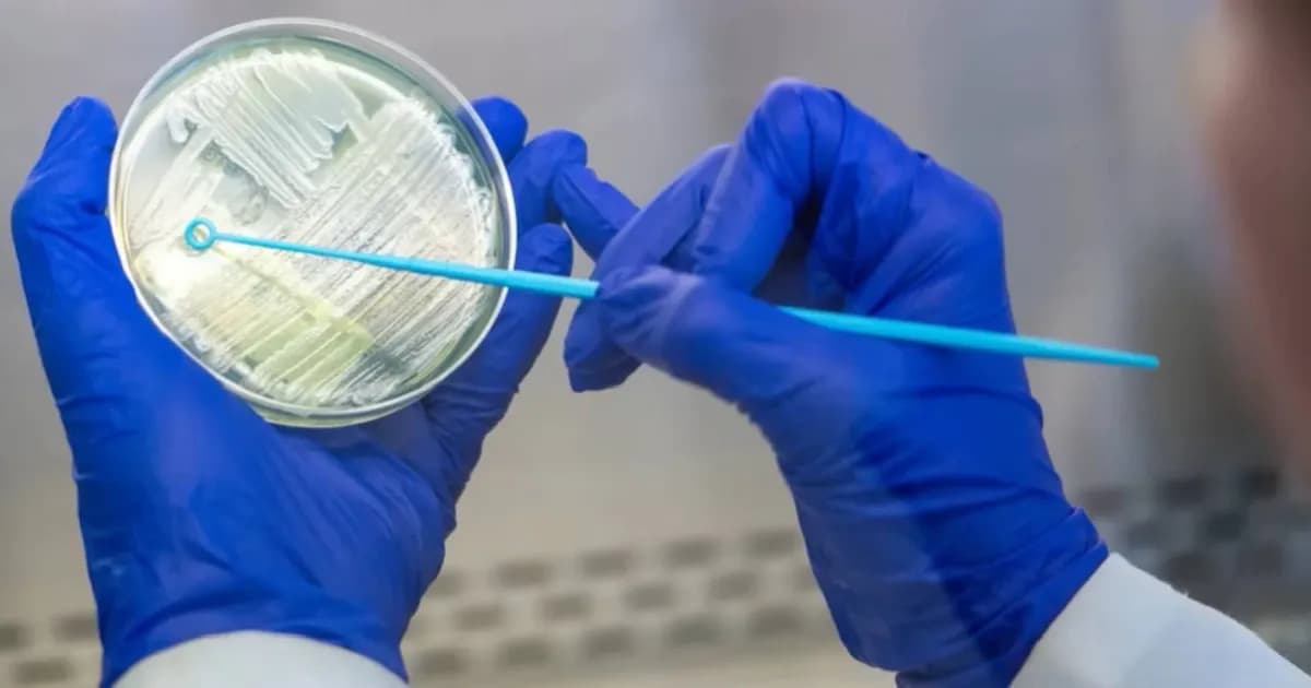 Más de 1.000 casos de cyclosporiasis en Michigan y Ohio: la fuente del brote sigue sin identificar