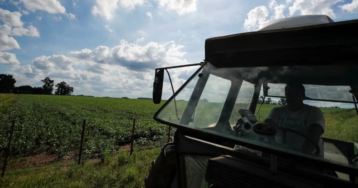 Modificaciones en la Ley de Tierras Rurales: Desafíos para la Soberanía Nacional