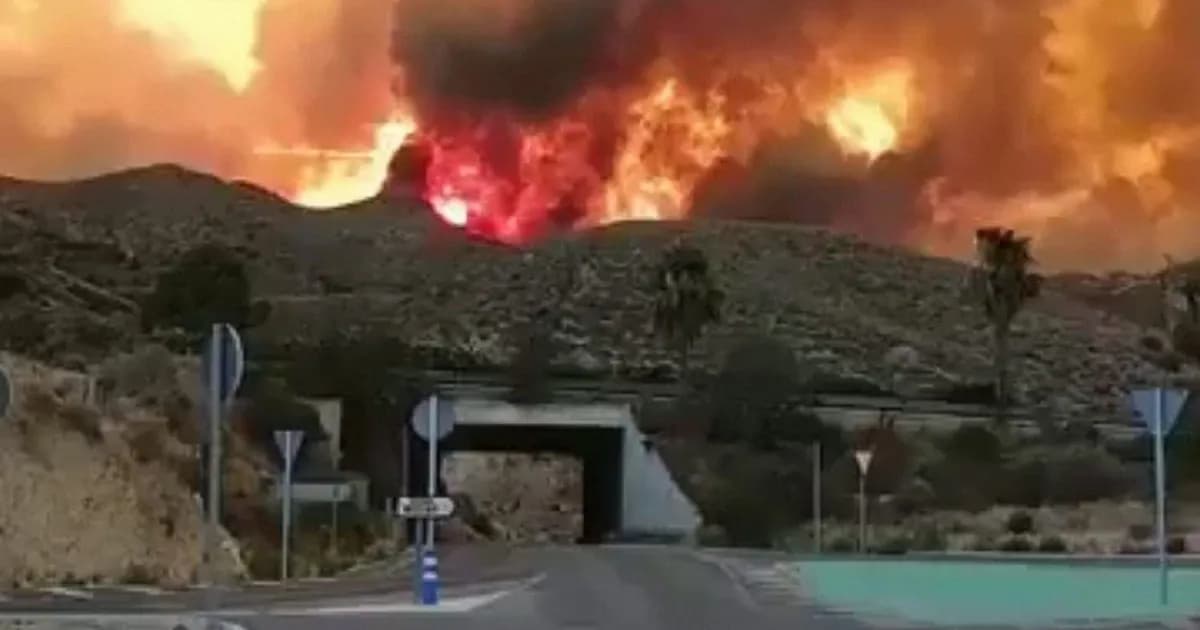 Tragedia en Almería: Incendio forestal causa 12 muertes y centenares de evacuados